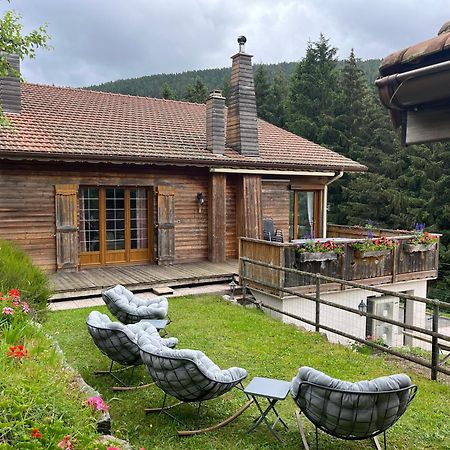 Au 21 Vosgien Bed & Breakfast Ventron Exterior foto
