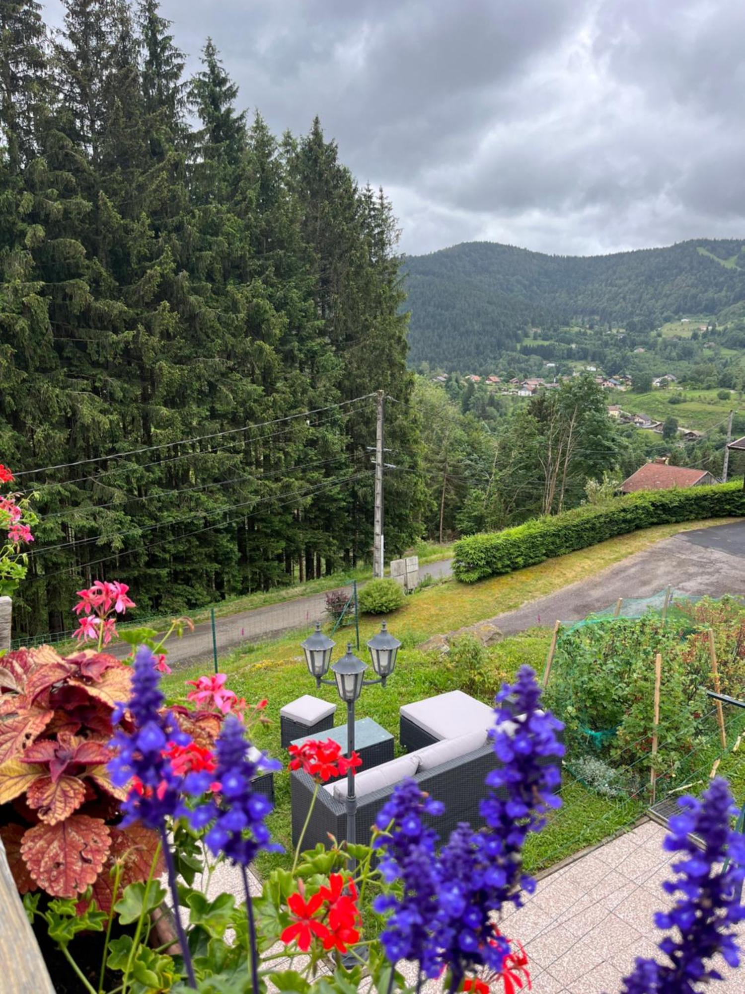Au 21 Vosgien Bed & Breakfast Ventron Exterior foto